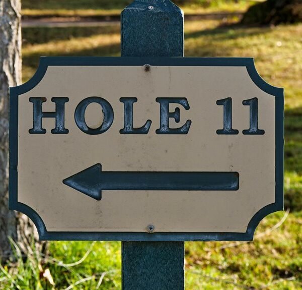 forecasting competitive expansion strategies