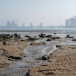 industry expansion vector analysis